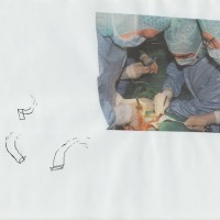http://andrewdefreitas.com/files/dimgs/thumb_1x200_7_260_2838.jpg
